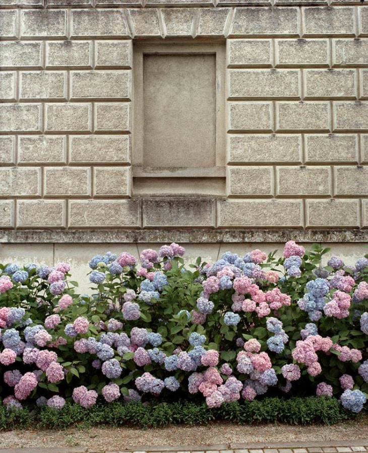 12032135_10153609400371092_6593589891547358059_n