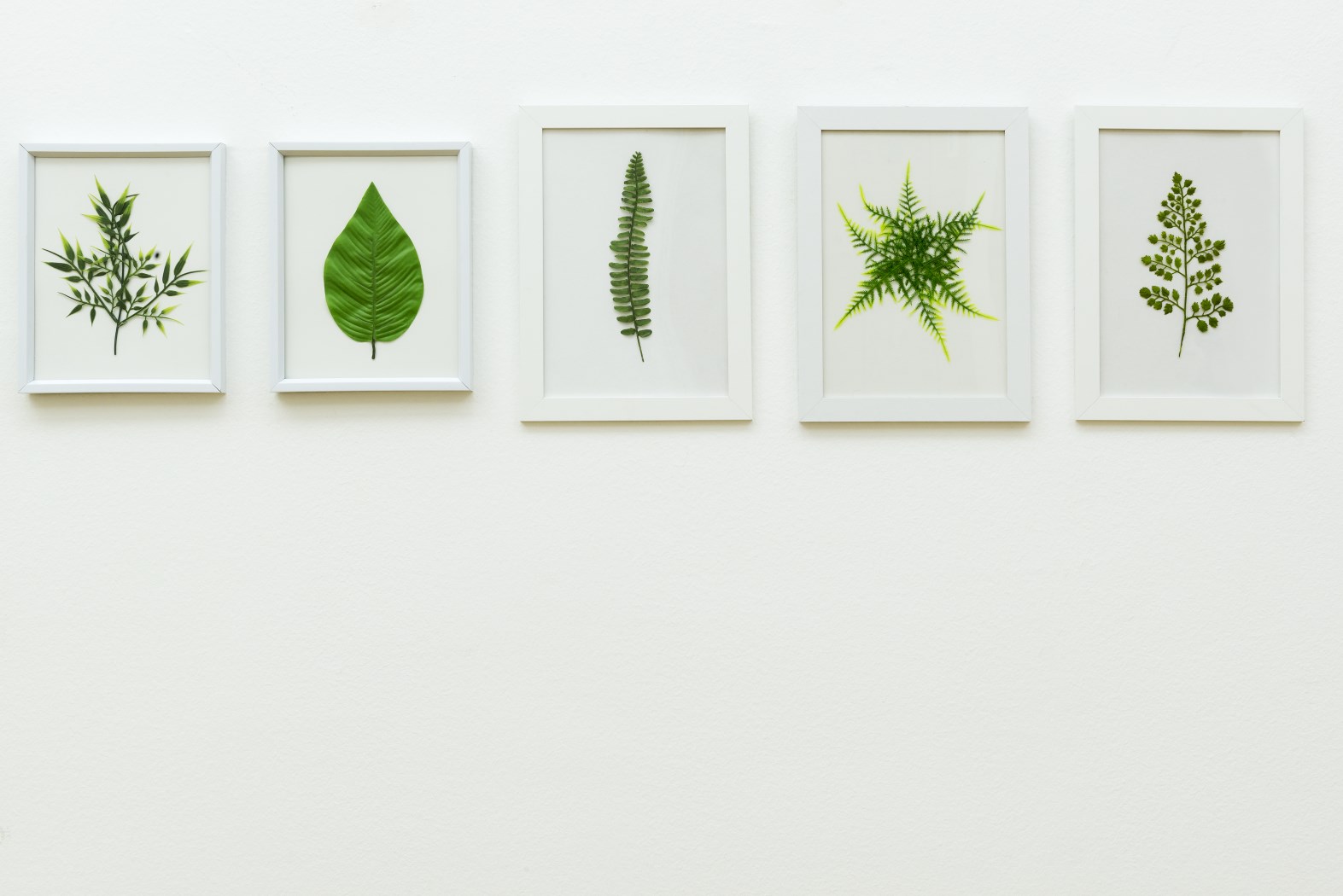 _dsc7040-rezolucija-ekrana